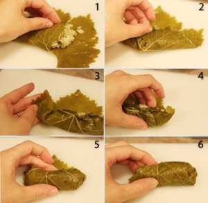 Comment farcir les feuilles de vignes