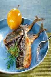 Poissons Marocains